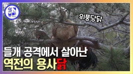 #성주_성밖숲 - YouTube