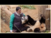 더쿠 - 퇴근 안 하고 임모랑 돌멩이들한테 안녕 인사하는 오루이💜