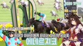 핫산) 에네르지코 - 25 킷카상 「아버지에게 바치는 마지막 국화꽃」 - 우마무스메 프리티 더비 마이너 갤러리