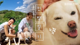 용키 개귀여움 - 솔라 마이너 갤러리