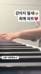 모브의 취미 피아노🌸 mauve piano - YouTube