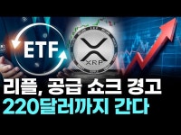 리플, 공급 쇼크 경고…220달러까지 간다