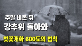 일어난다르크 - INTP 마이너 갤러리