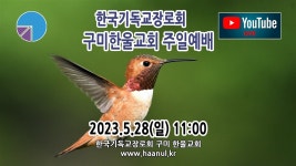 구미 한울교회 2023.6.4 주일예배 - YouTube 구미 한울교회 2023.6.4 주일예배