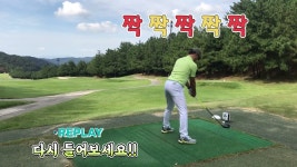 네이버 인플루언서 [네이버 인플루언서] 절묘한타이밍 새들의응원 짝짝짝짝짝(용원cc)
