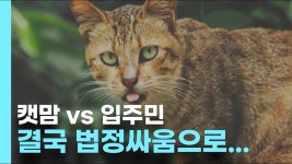 아파트 길고양이 급식, 재물손괴 고소까지 이어져 - 야옹이 갤러리