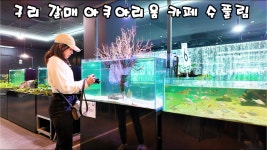 네이버 인플루언서 [네이버 인플루언서] 구리시 갈매동 아쿠아리움 카페 수풀림 아이들 미침...