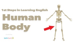 English Vocabulary - HUMAN BODY - YouTube English Vocabulary - HUMAN BODY