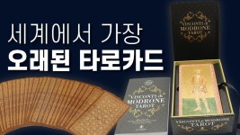 이 카드 사서 점사 본 갤러있음? - 타로카드 갤러리