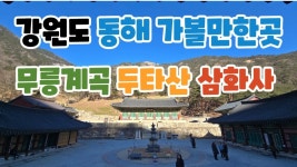 네이버 인플루언서 [네이버 인플루언서] 강원도 동해 가볼만한곳 무릉계곡 두타산 삼화사