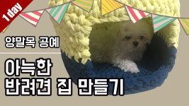 네이버 인플루언서 [네이버 인플루언서] 꼼지락걸의 강아지집만들기