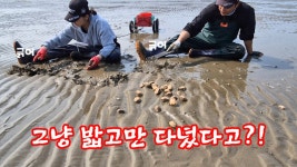 네이버 인플루언서 [네이버 인플루언서] 이걸 모르고 모래사장을 그냥 걸어다녔다고요? 해수욕장에 쏟아집니다! +먹방 / 곰섬바다정원펜션