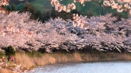 FUJIFILM XF 100 400mm F4 5 5 6R LM OIS WR Sample 4 - YouTube FUJIFILM XF 100 400mm F4 5 5 6R LM OIS WR Sample 4