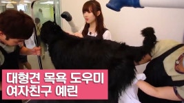 대형견 목욕 도우미 여자친구 예린_여자친구! 강아지를 부탁해 11회 | Doovi 대형견 목욕 도우미 여자친구 예린_여자친구! 강아지를 부탁해 11회