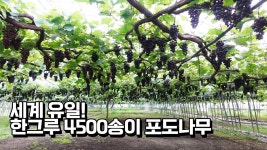 이런 사람은 그냥 아웃라이어인거지? - 농사 마이너 갤러리