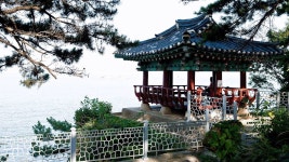 천학정, 강원도여행, 한국여행, Korea Tour, Cheonhakjeong | Doovi 천학정, 강원도여행, 한국여행, Korea Tour, Cheonhakjeong