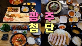 네이버 인플루언서 [네이버 인플루언서] 광주광역시 첨단 1지구, 2지구 맛집 Best 9