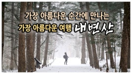 네이버 인플루언서 [네이버 인플루언서] 킴스트래블의 국내겨울여행지추천
