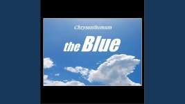 The Blue - Chrysanthemum: 노래 가사, 뮤직 비디오 및 콘서트