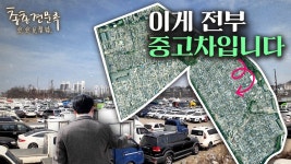 네이버 인플루언서 [네이버 인플루언서] 송도의 고민, 중고차 단지 | 총총견문록 [4K]