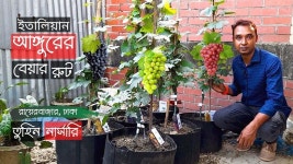 #তুহিননার্সারি - YouTube