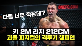 네이버 인플루언서 [네이버 인플루언서] 키 2m 리치 212cm...!!?? 전세계 타격가들을 박살 낸 괴물 헤비급 격투기 챔피언 ㄷㄷ