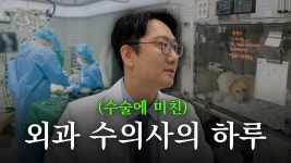 네이버 인플루언서 [네이버 인플루언서] 뼈를 깎는 노력(진짜 깎음)을 하는 외과 수의사의 하루🦴 | 김용선 수의사 Vlog