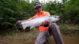 남대천연어플라이 | Doovi 남대천연어플라이