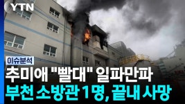 추미애 