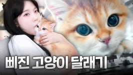 후 꾸꾸로 힐링점해야지 - 숲 방송 미니 갤러리