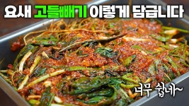 네이버 인플루언서 [네이버 인플루언서] 고들빼기 초간단 손질 비결! 쓴맛 잡고! 쌉쌀하게 땡기는 맛 올리고! 누구나 성공! 고들빼기김치