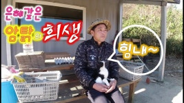 견주가 방치한 대형견 때문에 - 멍멍이 갤러리