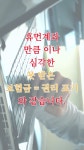 한국보험보상TV - YouTube