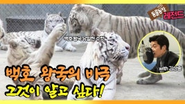 백호 홈런니폼 유출영상 떳다!!!!!!!!!!!!! - kt 위즈 갤러리