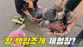 네이버 인플루언서 [네이버 인플루언서] 1만원내고 10만원을 벌어가는 수도권 가까운 갯벌체험장?! +먹방 ft.마시안갯벌체험장