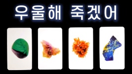 타로추천 - 타로카드 갤러리