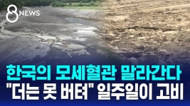 사대강 열심히 파더니 강원도 가뭄비상이래 - 기타 국내 드라마 갤러리