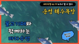 송정바다속 들어가보니 - 도시 갤러리