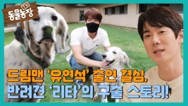 동물농장 유튭 네캐 가즈아!! - 유연석 갤러리