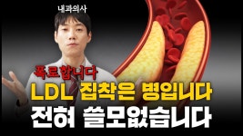 콜레스테롤 최신 이론 정리 - 고혈압 마이너 갤러리