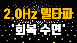 이건가 - 뉴진스 마이너 갤러리
