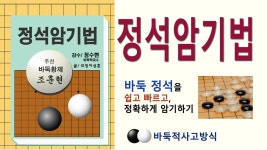 바둑입문,초보자 교육에 대한 획기적인 제안 - 바둑 갤러리