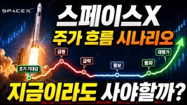 네이버 인플루언서 [네이버 인플루언서] 스페이스X주가 대응 시나리오 5가지