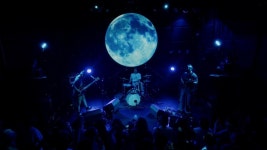 봉제인간라이브로볼거기대되네요 - 10년생 미니 갤러리