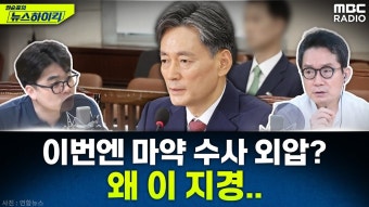 경찰판 채상병 사건) 세관 마약수사 외압 논란 - 박근혜 갤러리