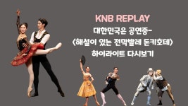 국발 해설있는 발레 돈키호테 하이라이트( 안수연 김기완) - 발레 마이너 갤러리
