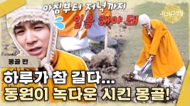 [몽골편] 끝이 없는 몽골의 일거리에 녹초가 된 동원이 - 정동원 마이너 갤러리 [몽골편] 끝이 없는 몽골의 일거리에 녹초가 된 동원이  - 정동원... 