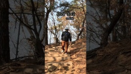 네이버 인플루언서 [네이버 인플루언서] 걷기좋은길 봉화산둘레길 봉화산 서울중랑