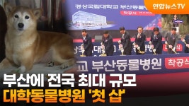 전국최대규모 동물병원 - 창원대 갤러리