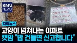 캣맘, 아파트 온 사방에 밥그릇... 손대면 신고 - 부동산 갤러리